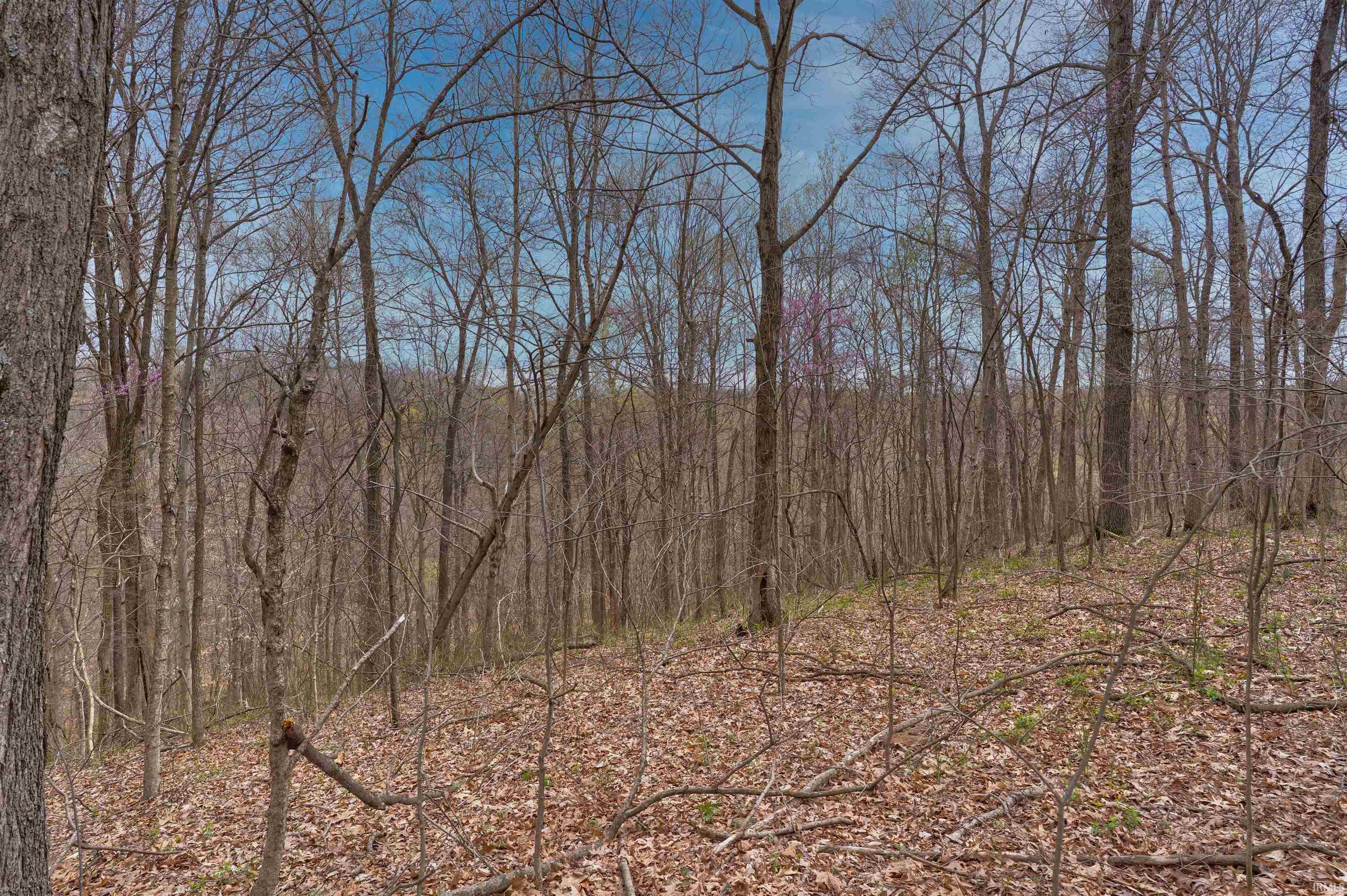 0 Brushy Fork Road Tell City, IN 47586 - Photo 26 of 30