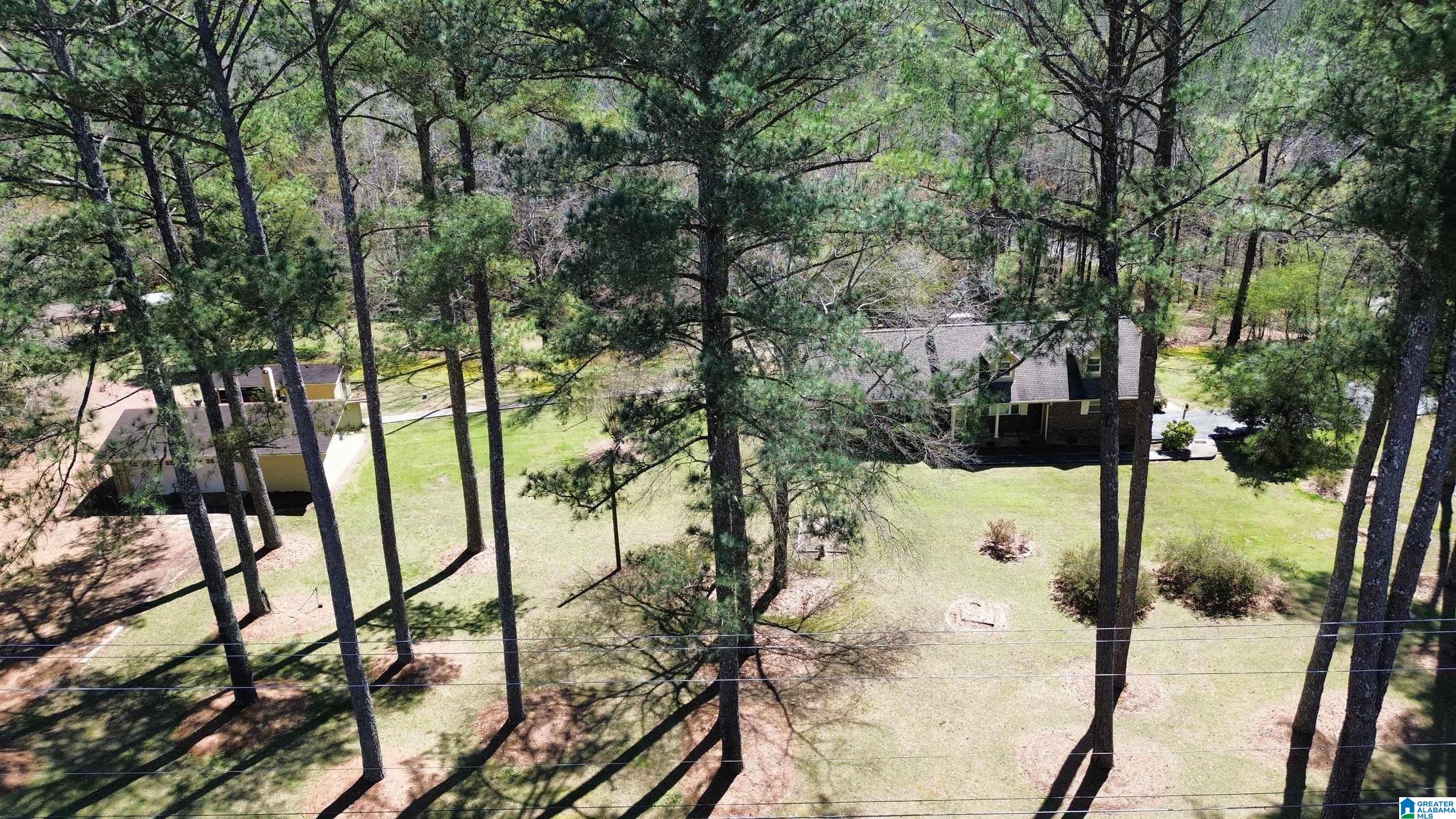 41 Armstrong Loop Hayden, AL 35079 - Photo 12 of 49