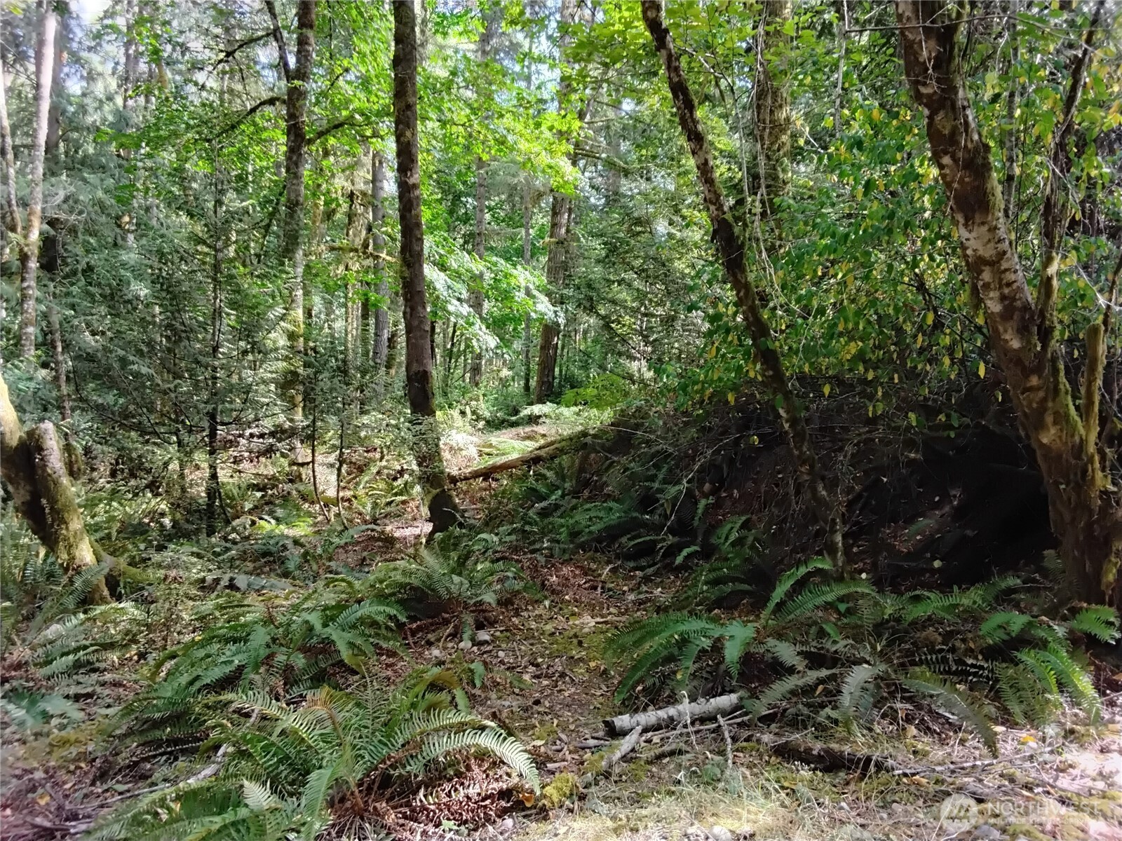 0 East Frontier Road Grapeview, WA 98546 - Photo 19 of 35 Gallery Image 19
