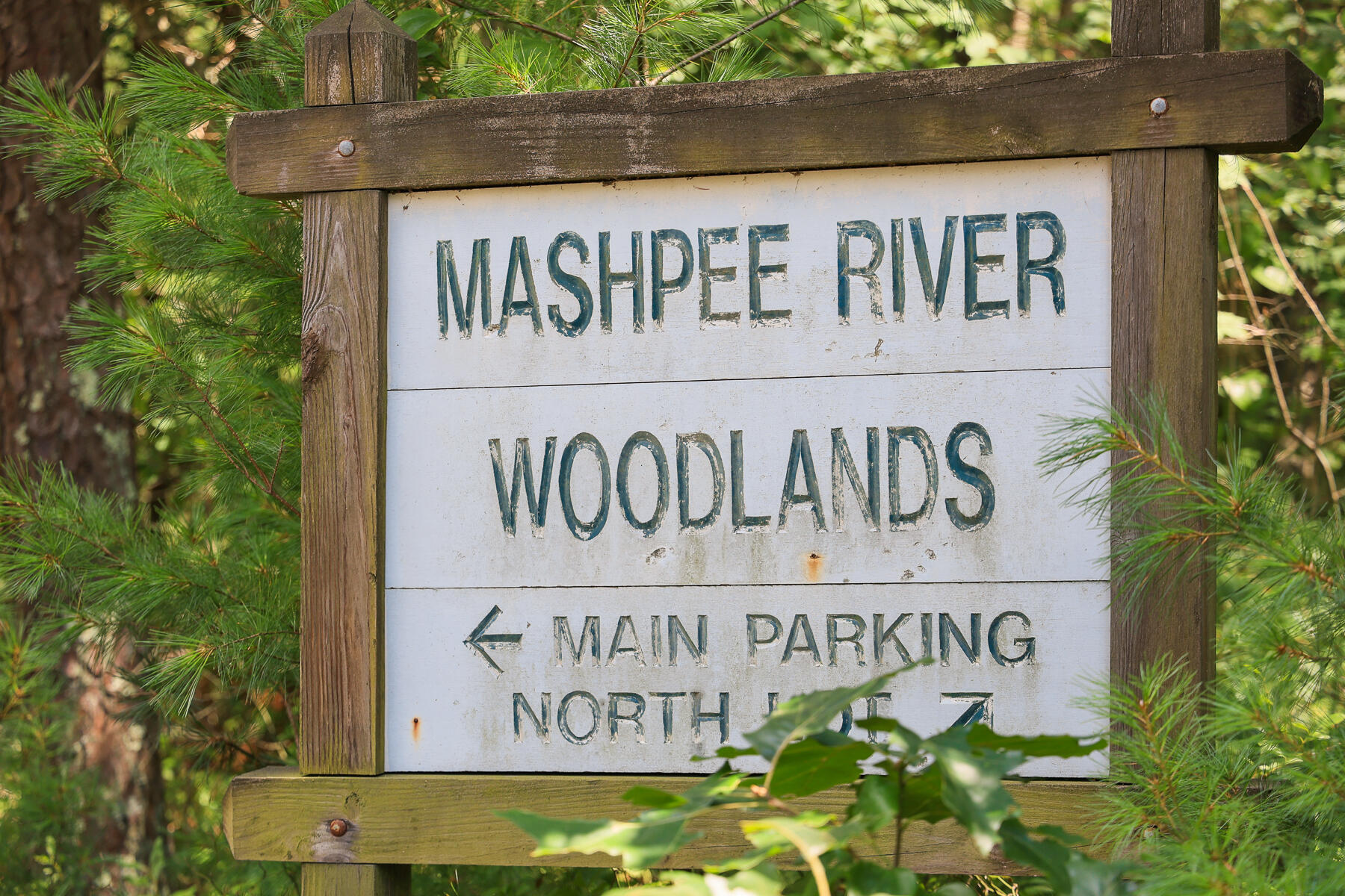 4 Mashpee Neck Road Mashpee, MA 02649 - Photo 37 of 44 Conservation Land