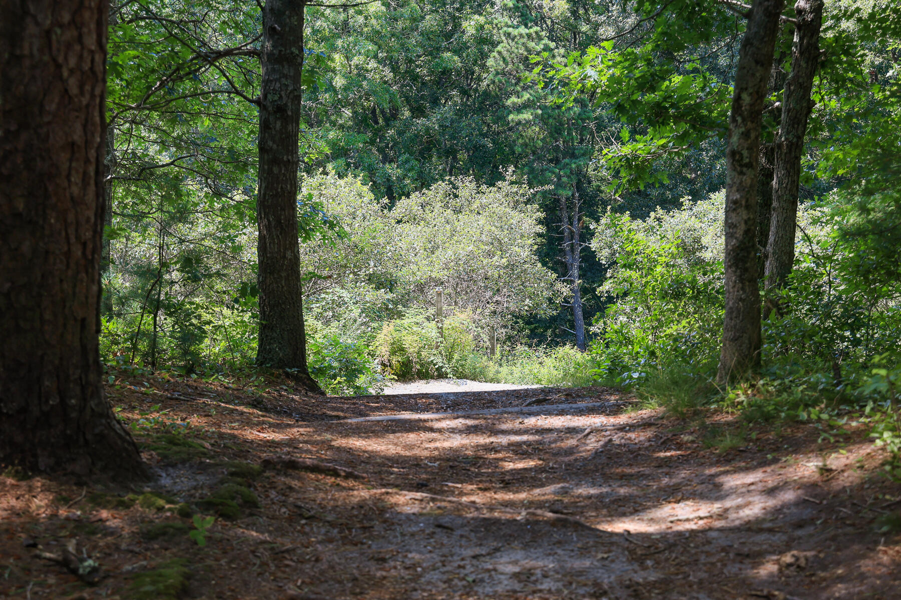 4 Mashpee Neck Road Mashpee, MA 02649 - Photo 38 of 44 Lovely Walks