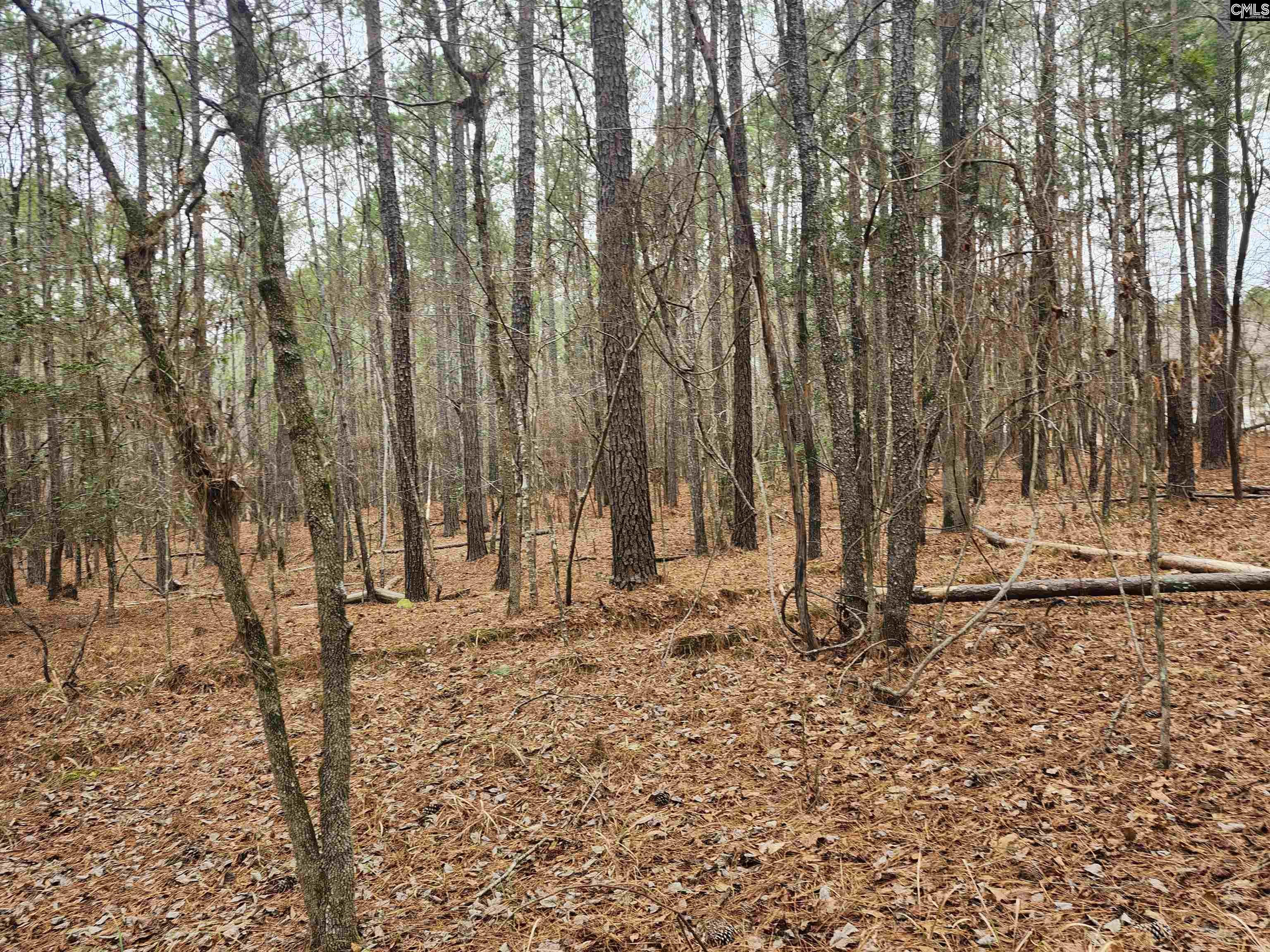 Tbd Colonels Circle Ridgeway, SC 29130 - Photo 5 of 11