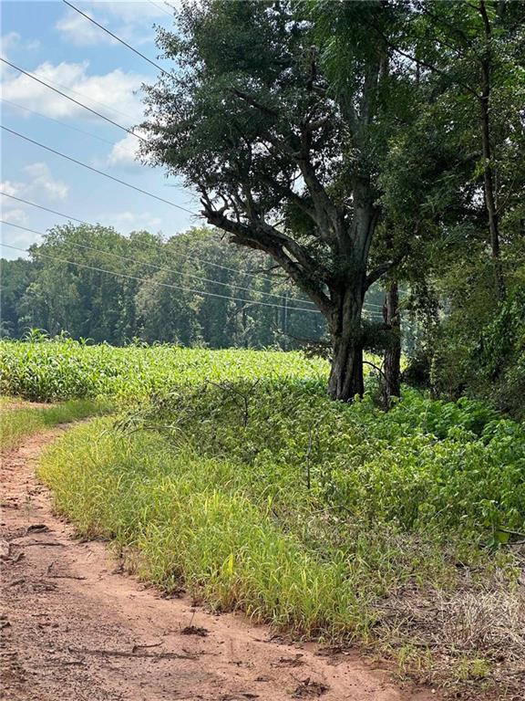 a view of lake with green space