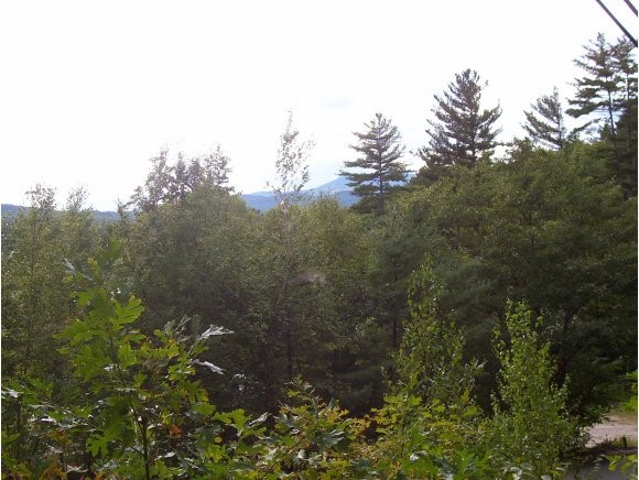 0 Champion Hill Road Effingham, NH 03882 - Photo 1 of 1 Gallery Image 1
