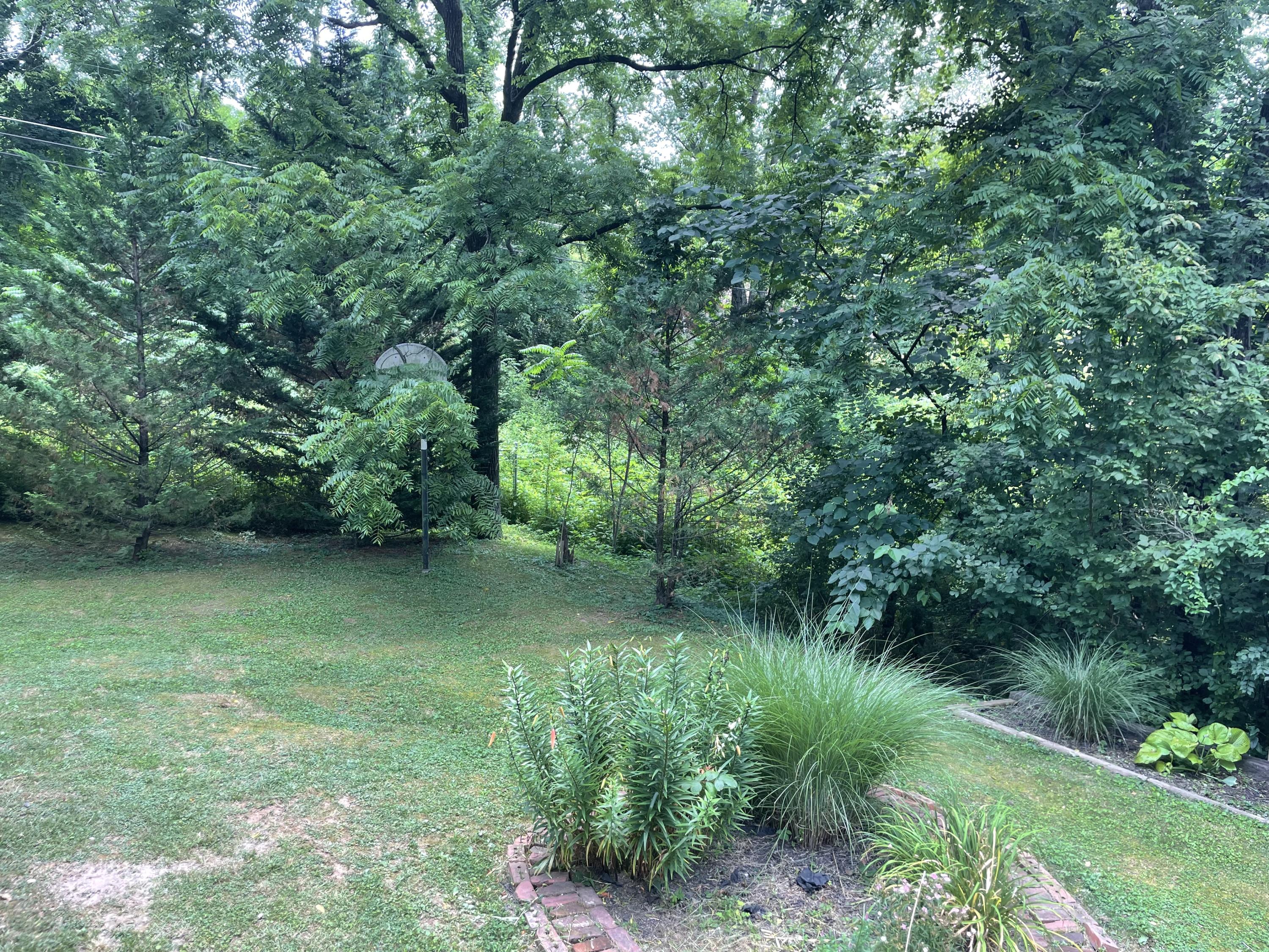 1418 Cherry Bottom Road Caryville, TN 37714 - Photo 22 of 34 IMG_9800