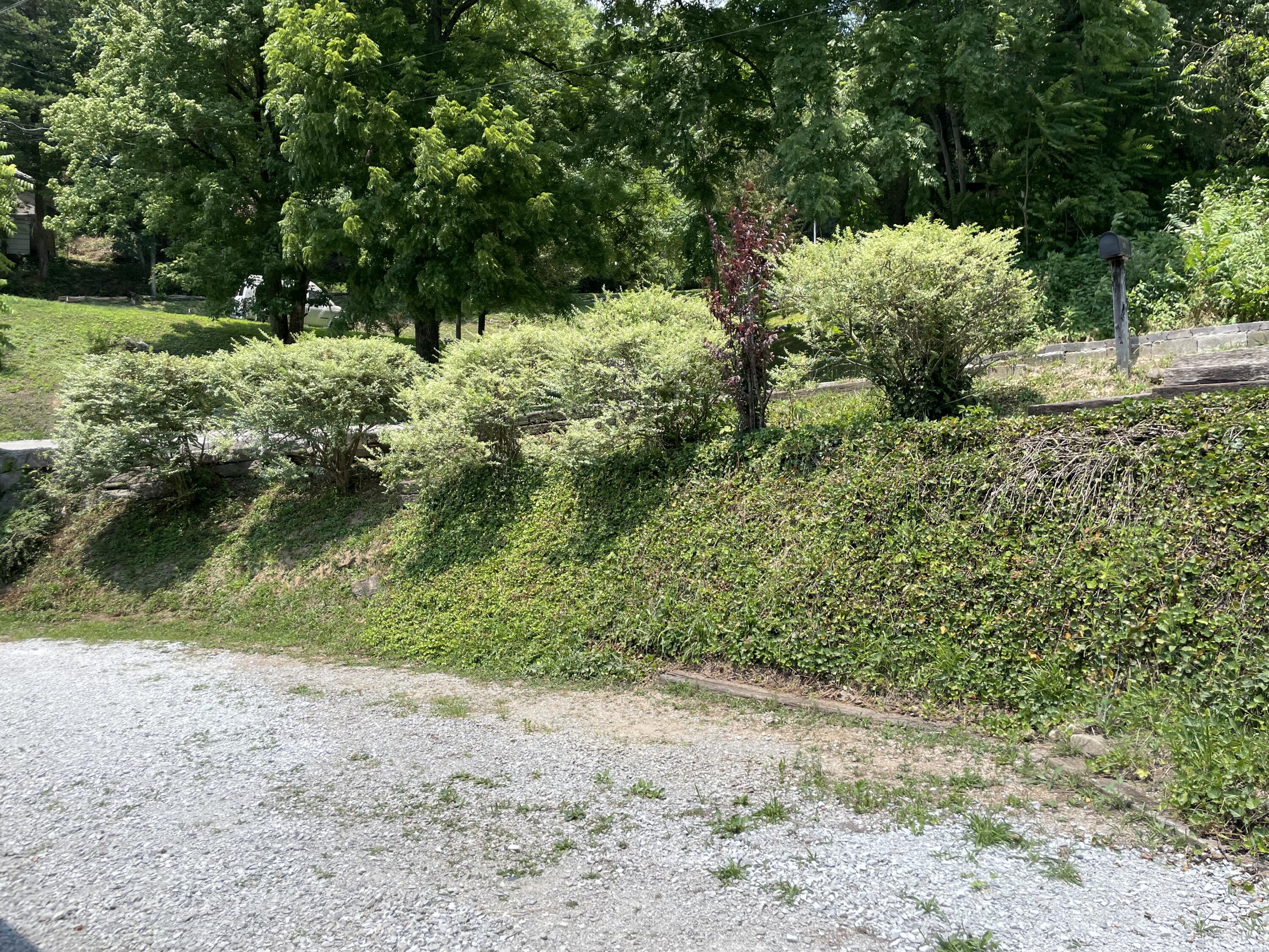 1418 Cherry Bottom Road Caryville, TN 37714 - Photo 30 of 34 IMG_9816