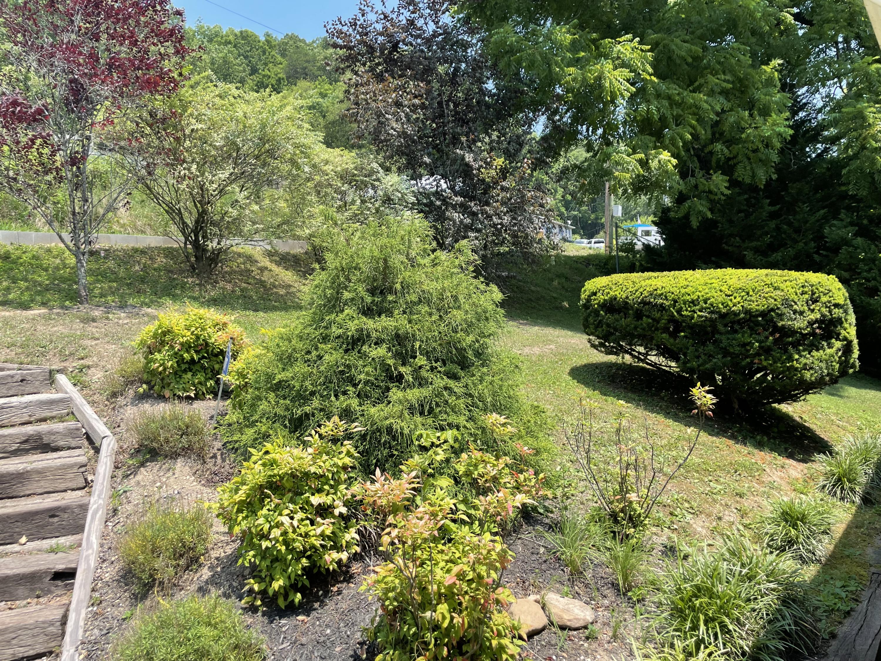 1418 Cherry Bottom Road Caryville, TN 37714 - Photo 31 of 34 IMG_9817