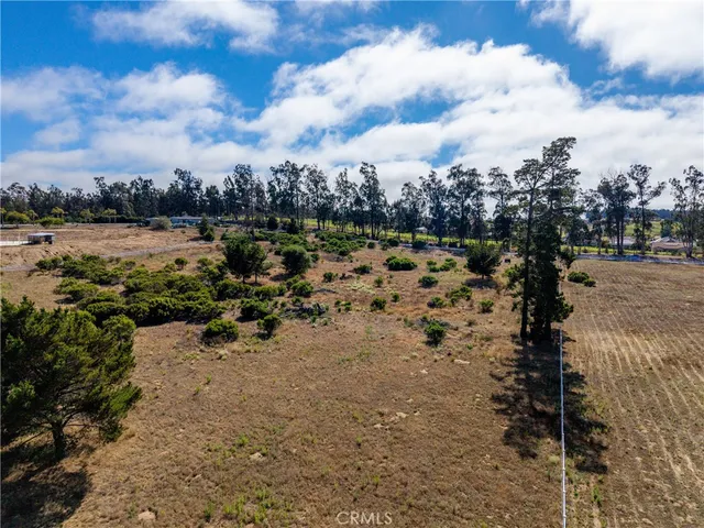 a view of a dry yard with trees