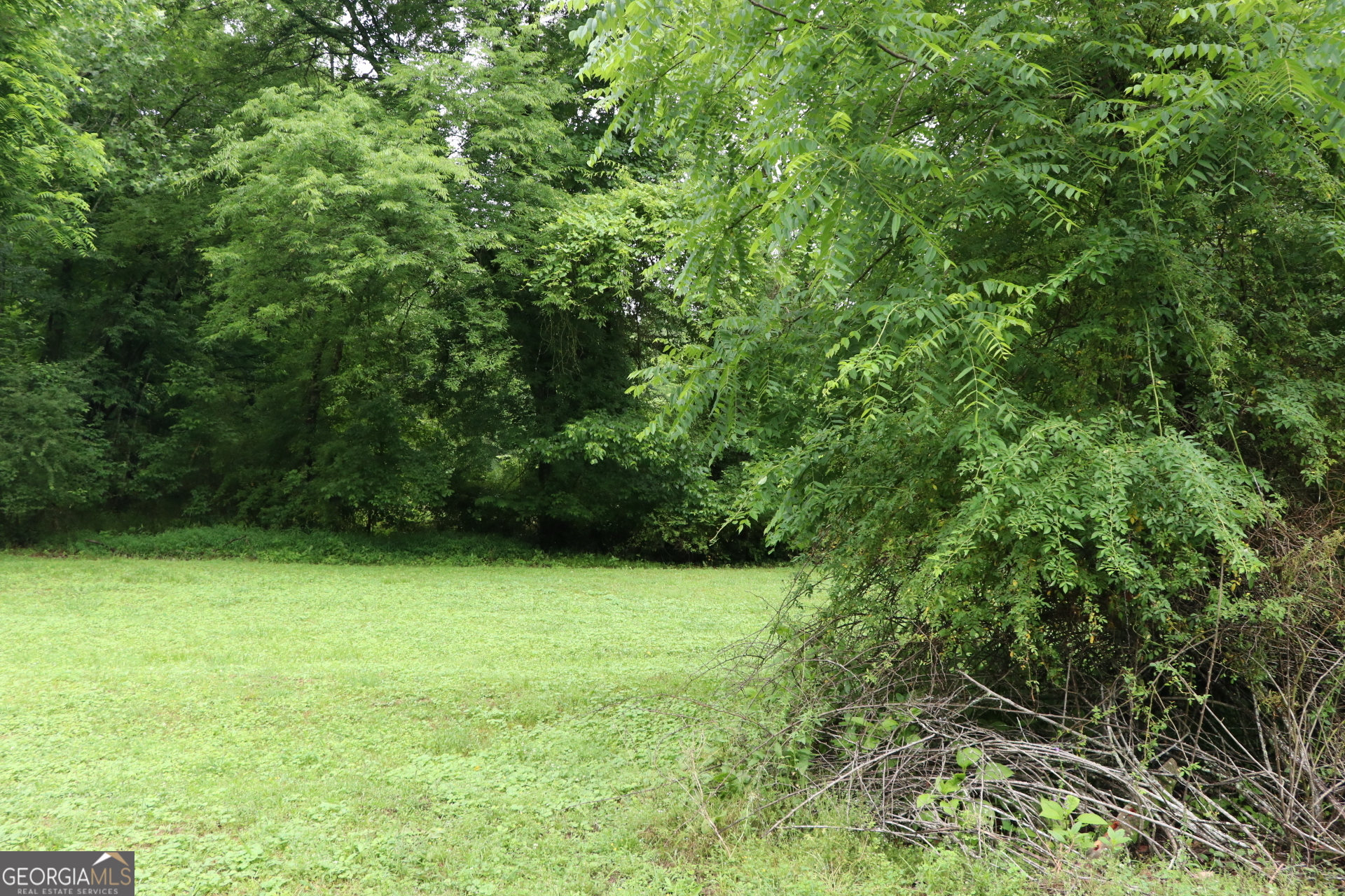 833 Neal Gap Road Summerville, GA 30747 - Photo 7 of 86