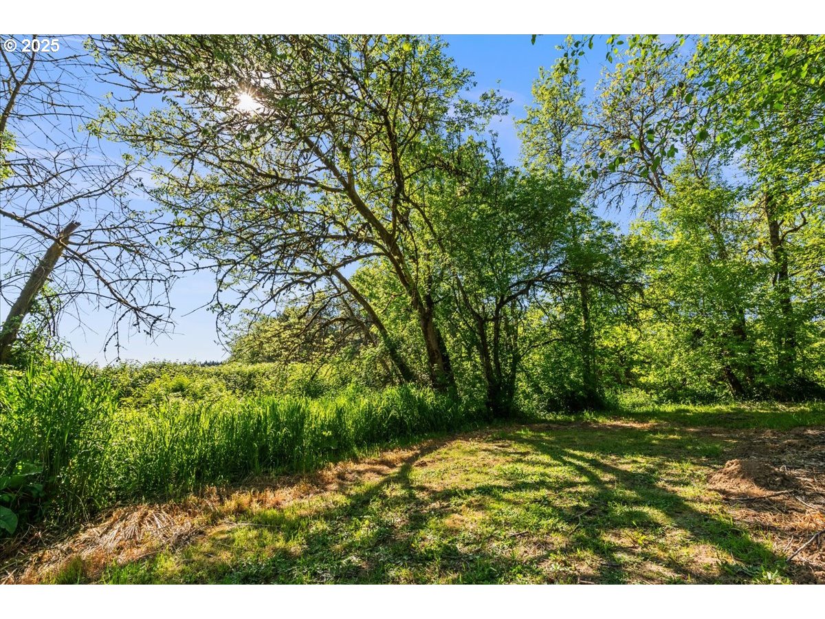 43300 Northwest Cedar Canyon Road Banks, OR 97106 - Photo 45 of 48