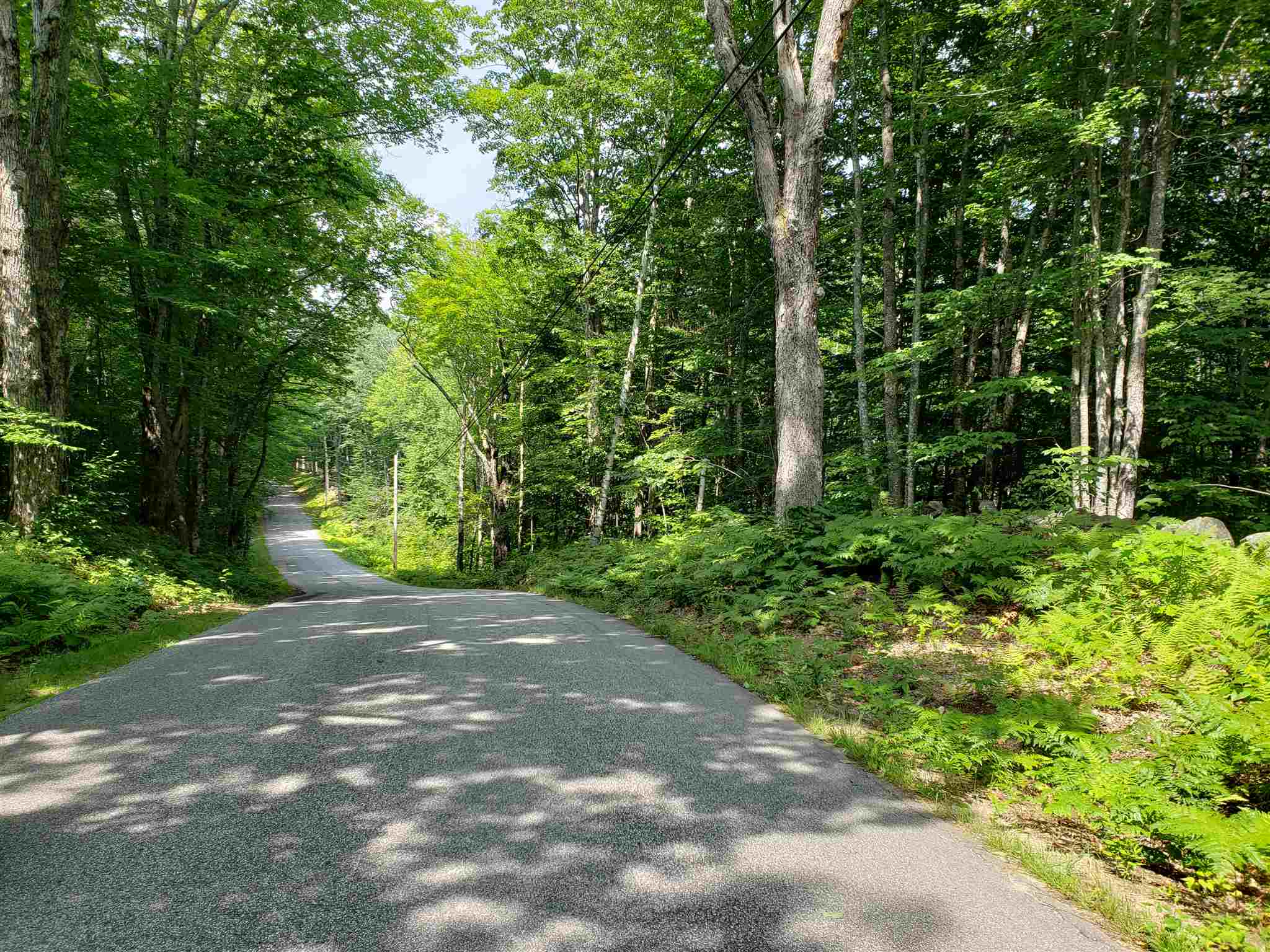 R8-45a Maple Ridge Road North Sandwich, NH 03259 - Photo 3 of 6