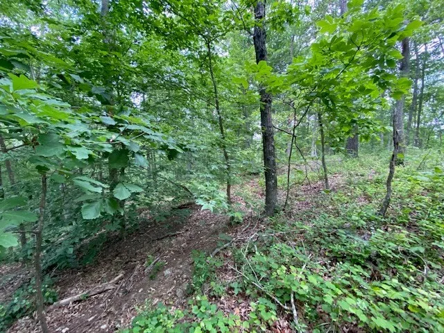 a view of outdoor space and green space