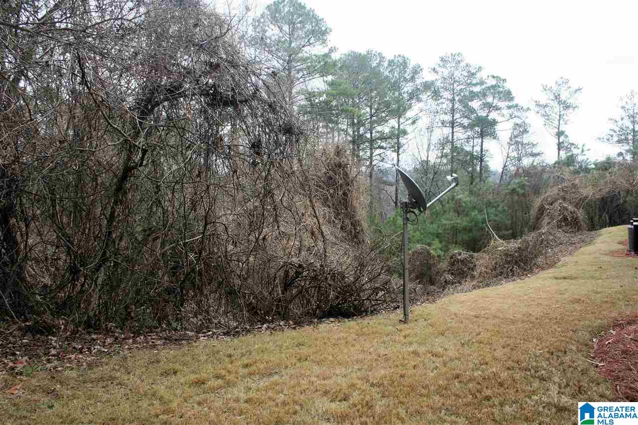 1218 Inverness Cove Way Birmingham, AL 35242 - Photo 36 of 42