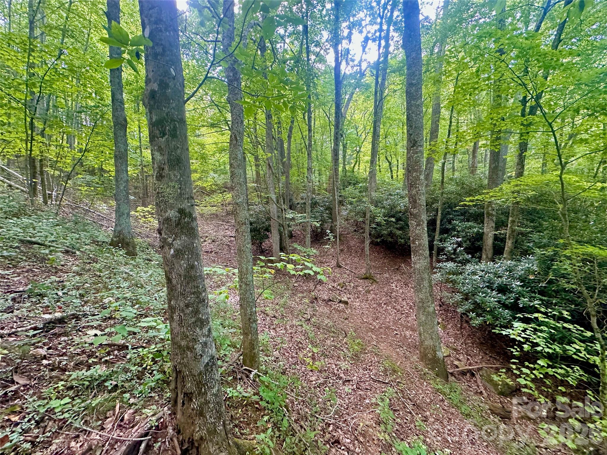 Tbd Old Anderson Quarry Road Vilas, NC 28692 - Photo 14 of 21