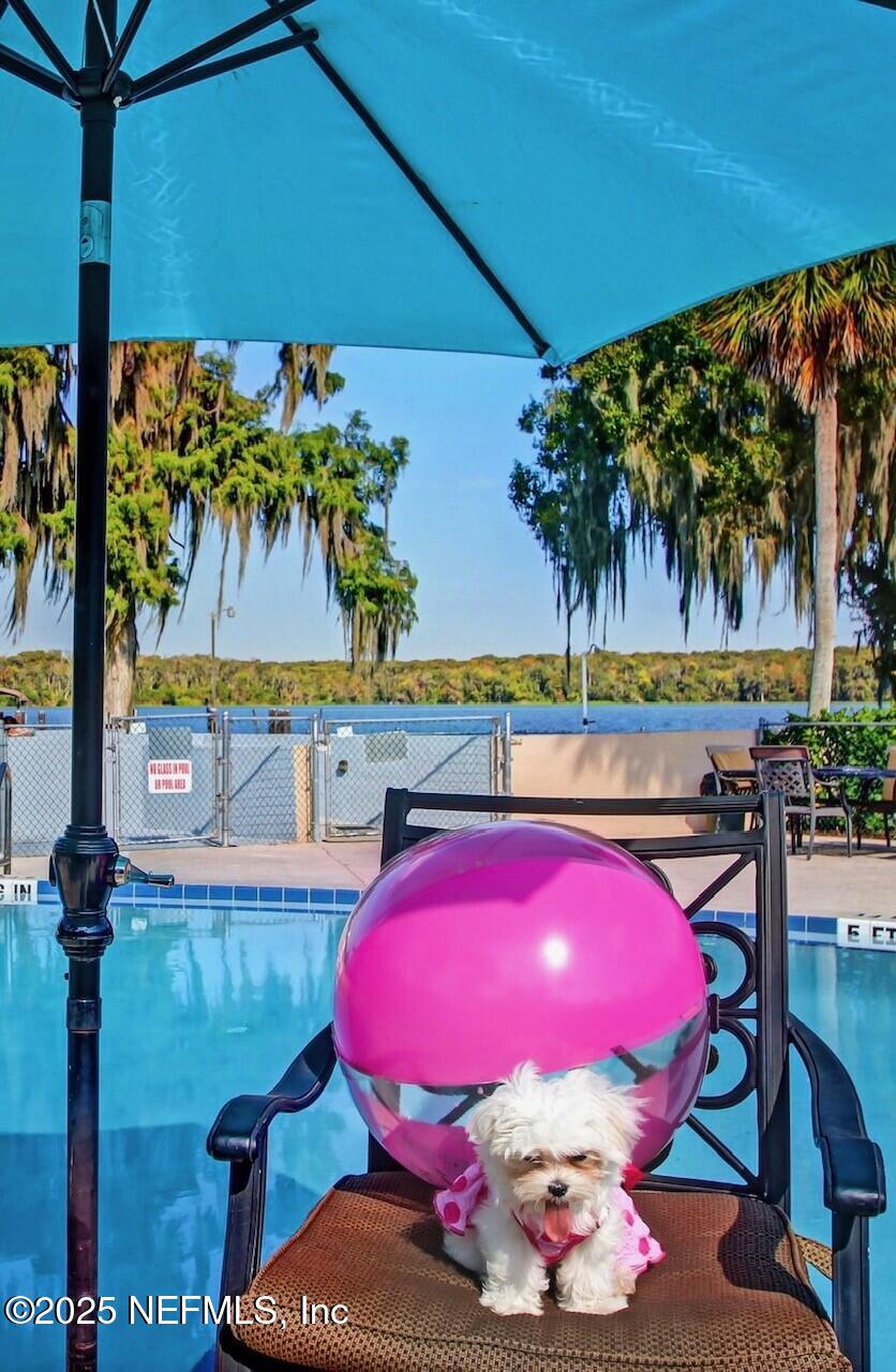 210 River Bend Court, Unit B Welaka, FL 32193 - Photo 22 of 41 a view of a swimming pool with a chairs and table in a patio