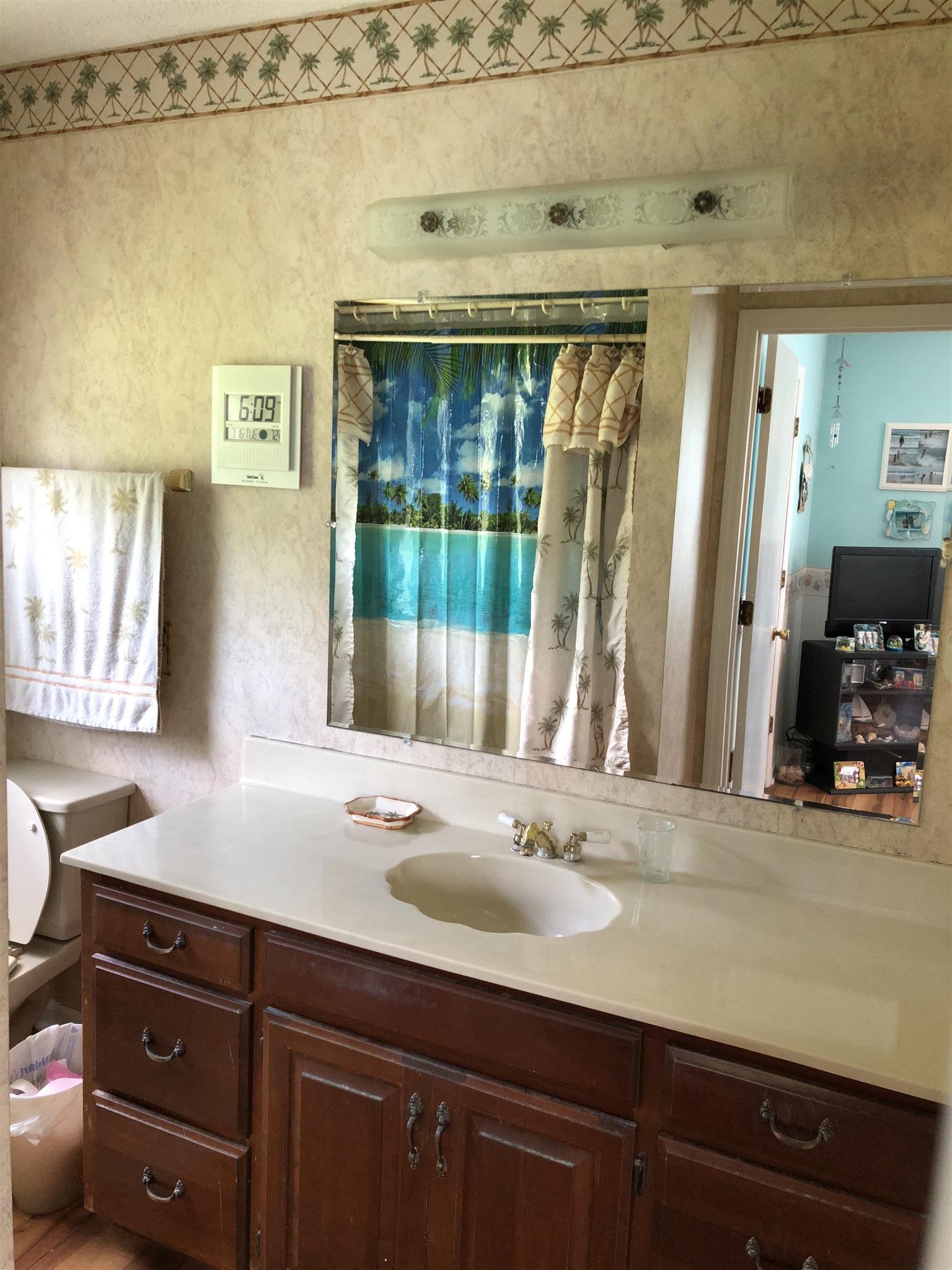 1649 Coyle Road Culleoka, TN 38451 - Photo 10 of 19 Master bathroom