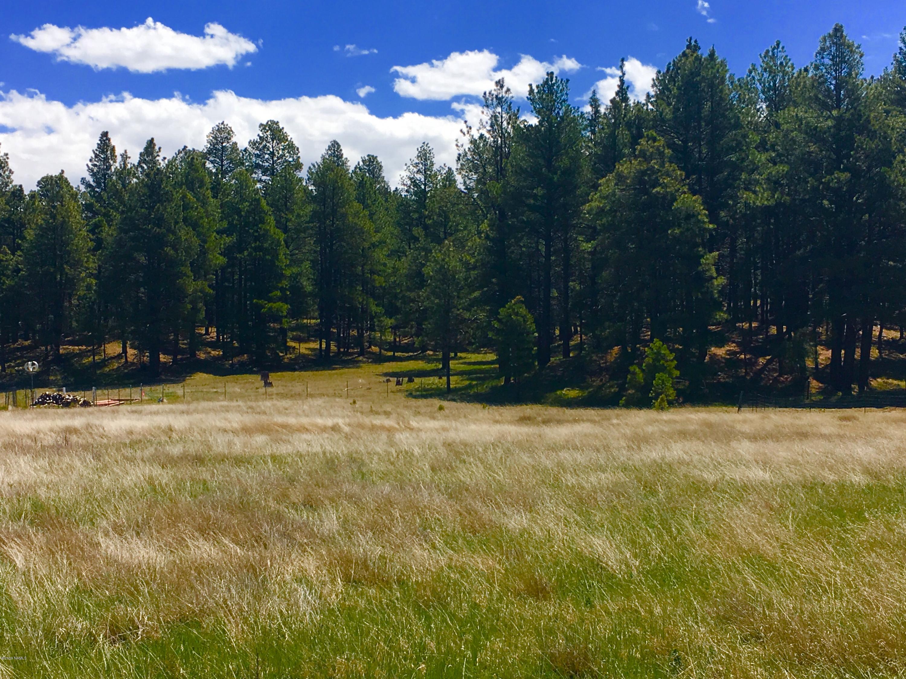 6095 Antelope Road Flagstaff, AZ 86005 - Photo 1 of 6 6095