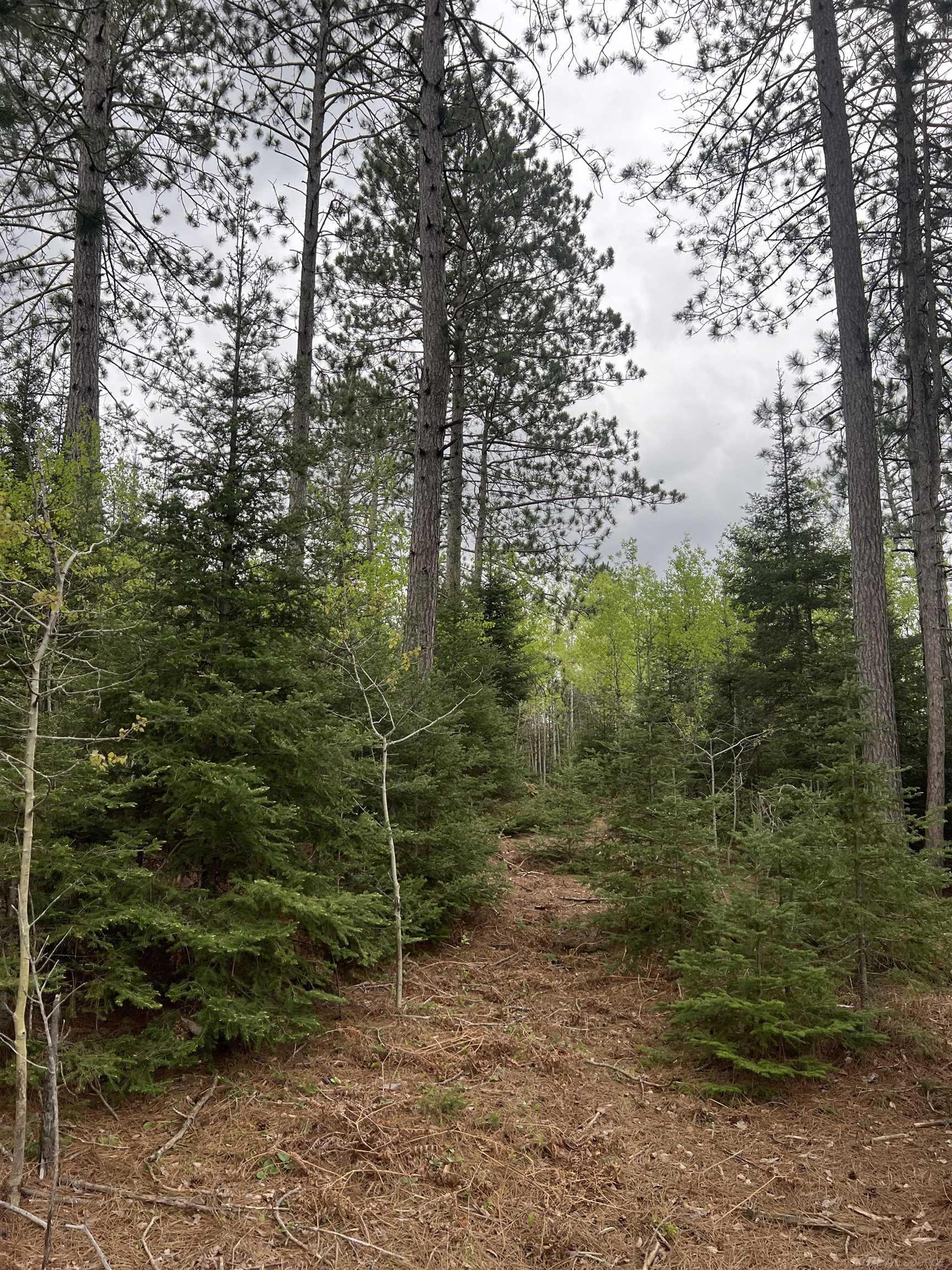 0 County Road Ishpeming, MI 49849 - Photo 13 of 85