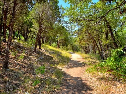 12027 Pleasant Panorama View Austin, TX 78738 - Photo 40 of 40 a view of a yard with a tree