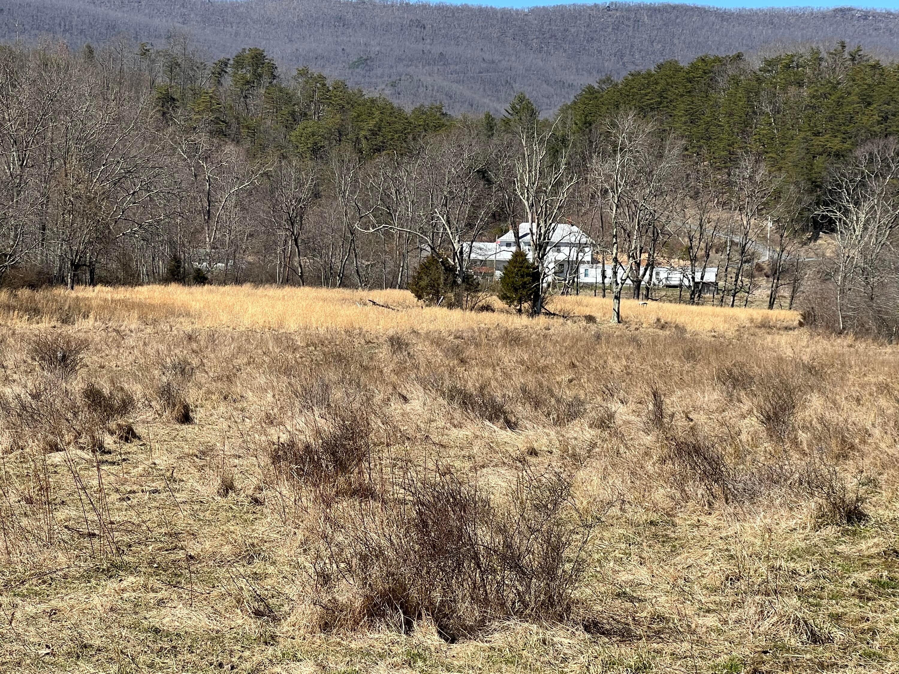 50 Rays Siding Road Waiteville, WV 24984 - Photo 6 of 28 Gallery Image 6