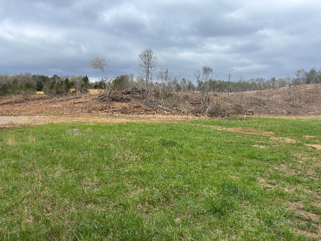 13649 Eldridge Road Birchwood, TN 37341 - Photo 3 of 3 Eldridge 2