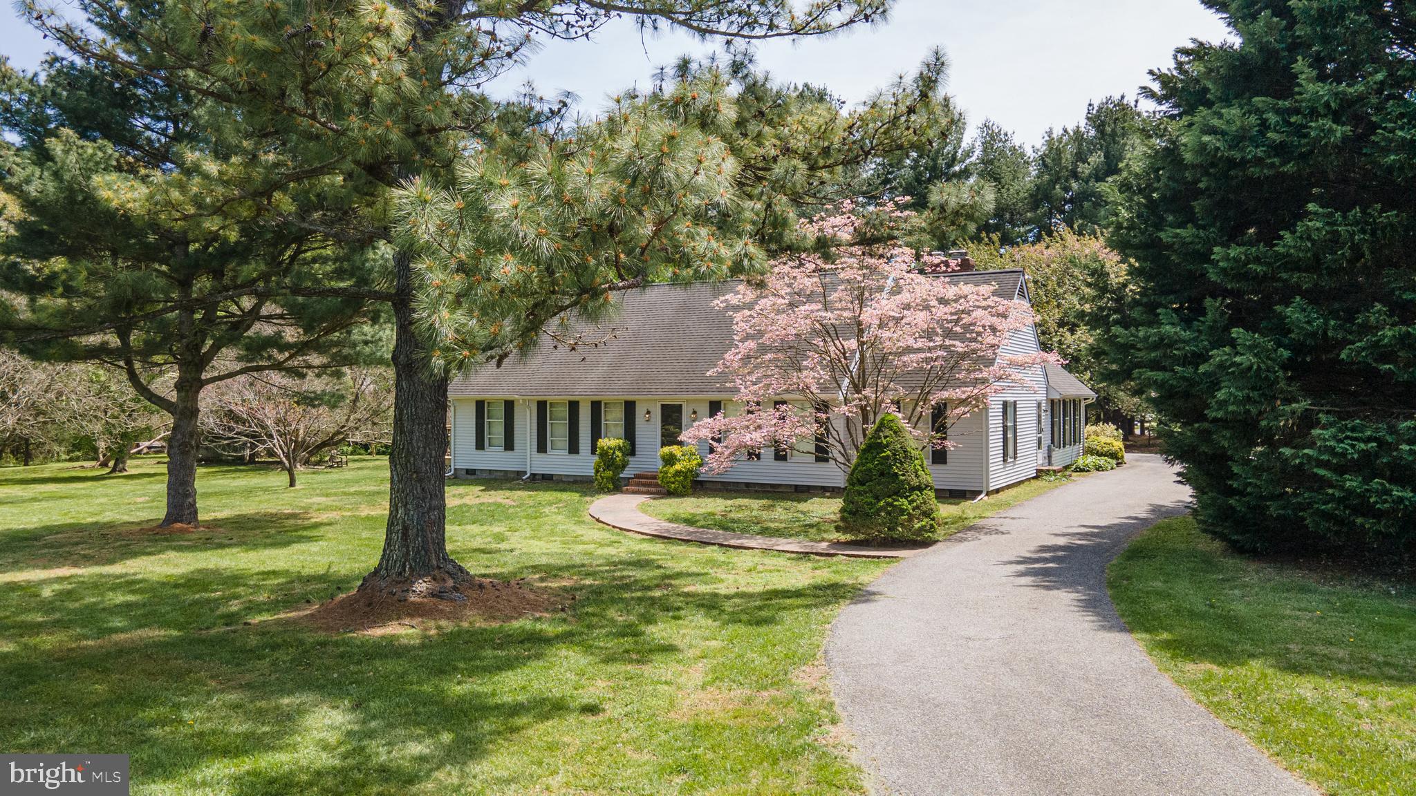 200 Earle Branch Road Centreville, MD 21617 - Photo 1 of 50 Gallery Image 1