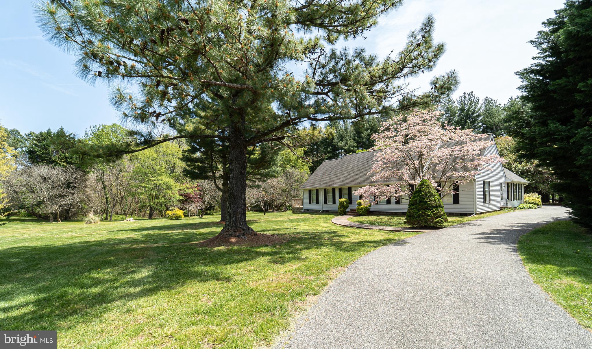 200 Earle Branch Road Centreville, MD 21617 - Photo 43 of 50 Gallery Image 43