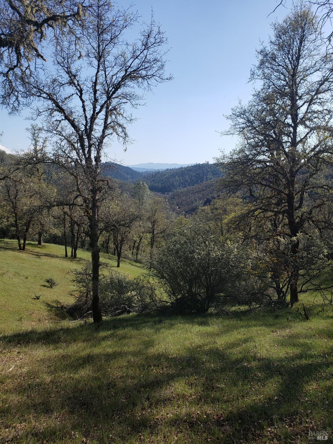 29890 Mendocino Pass Road Covelo, CA 95428 - Photo 6 of 7