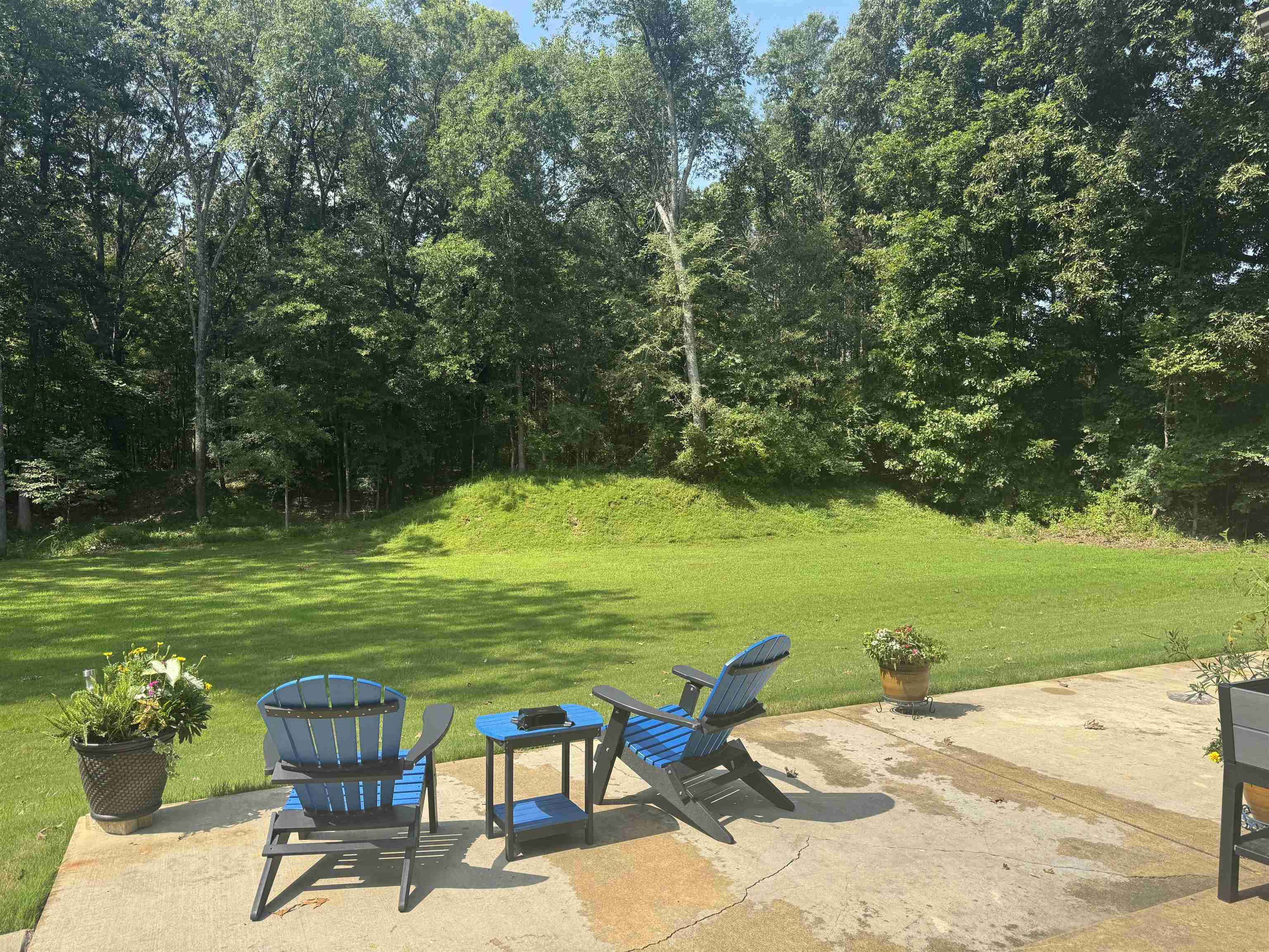 10879 Latting Road Eads, TN 38028 - Photo 6 of 40 a view of a swimming pool and lounge chairs