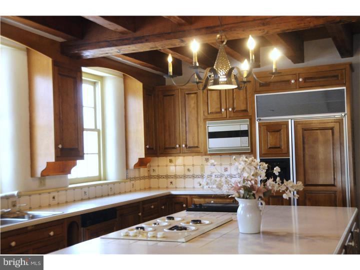3049 Merlin Road Chester Springs, PA 19425 - Photo 19 of 24 Gallery Image 19