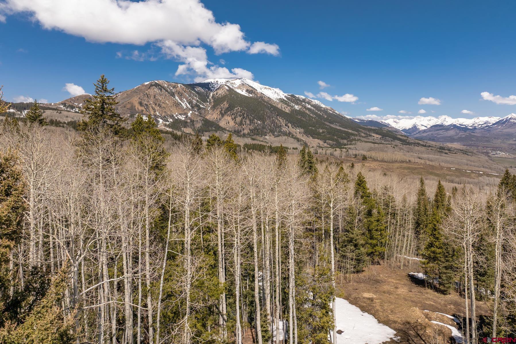 76 Red Mountain Ranch Road Crested Butte, CO 81224 - Photo 19 of 43 Gallery Image 19