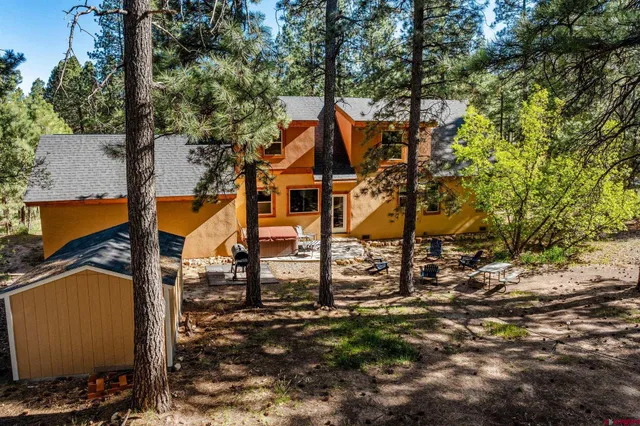 a view of a forest with a mountain