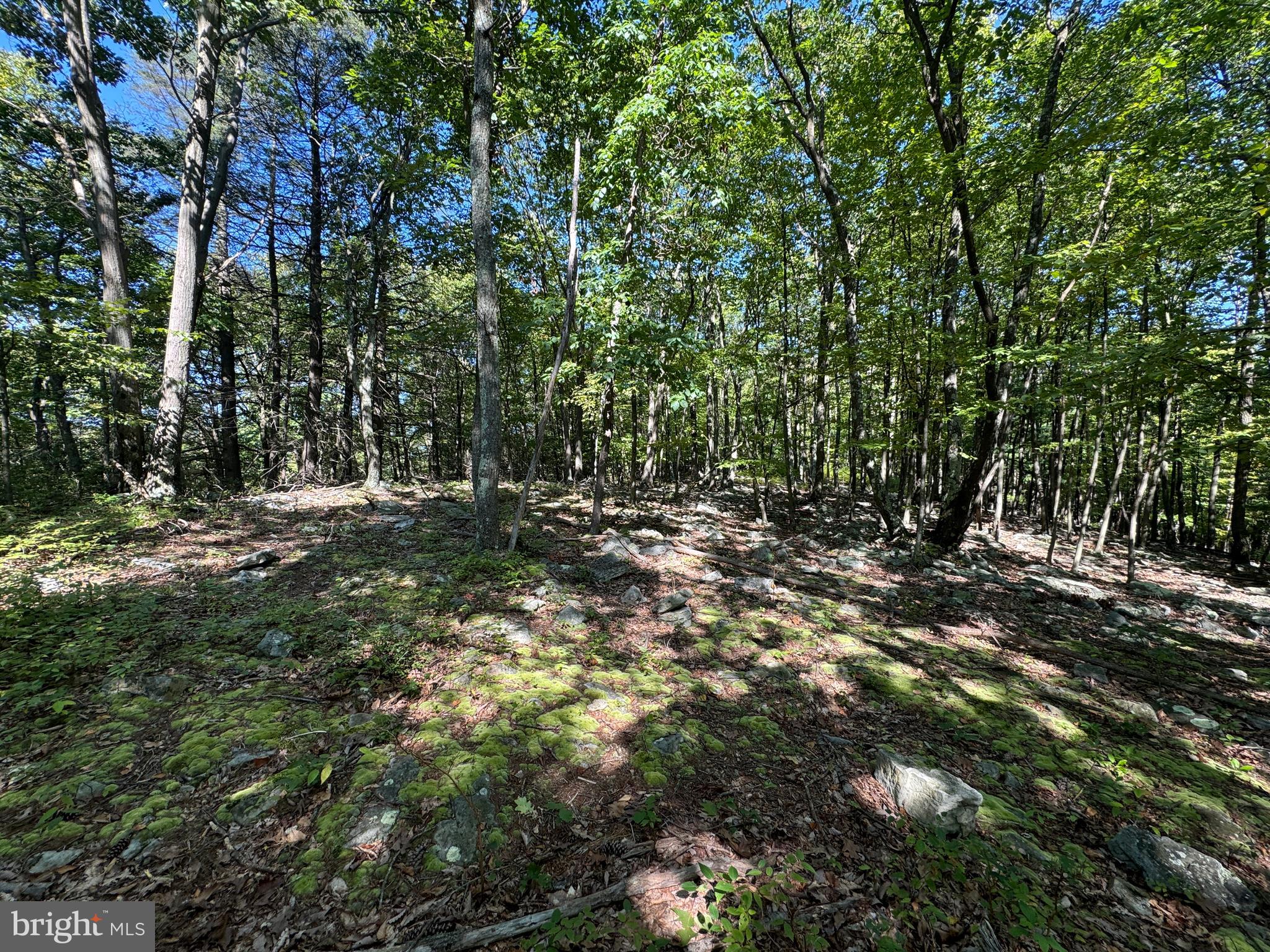Three Laurel Mountain Road Three Springs, PA 17264 - Photo 26 of 31 Gallery Image 26
