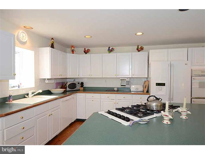 214 Country Road Berwyn, PA 19312 - Photo 8 of 23 Kitchen