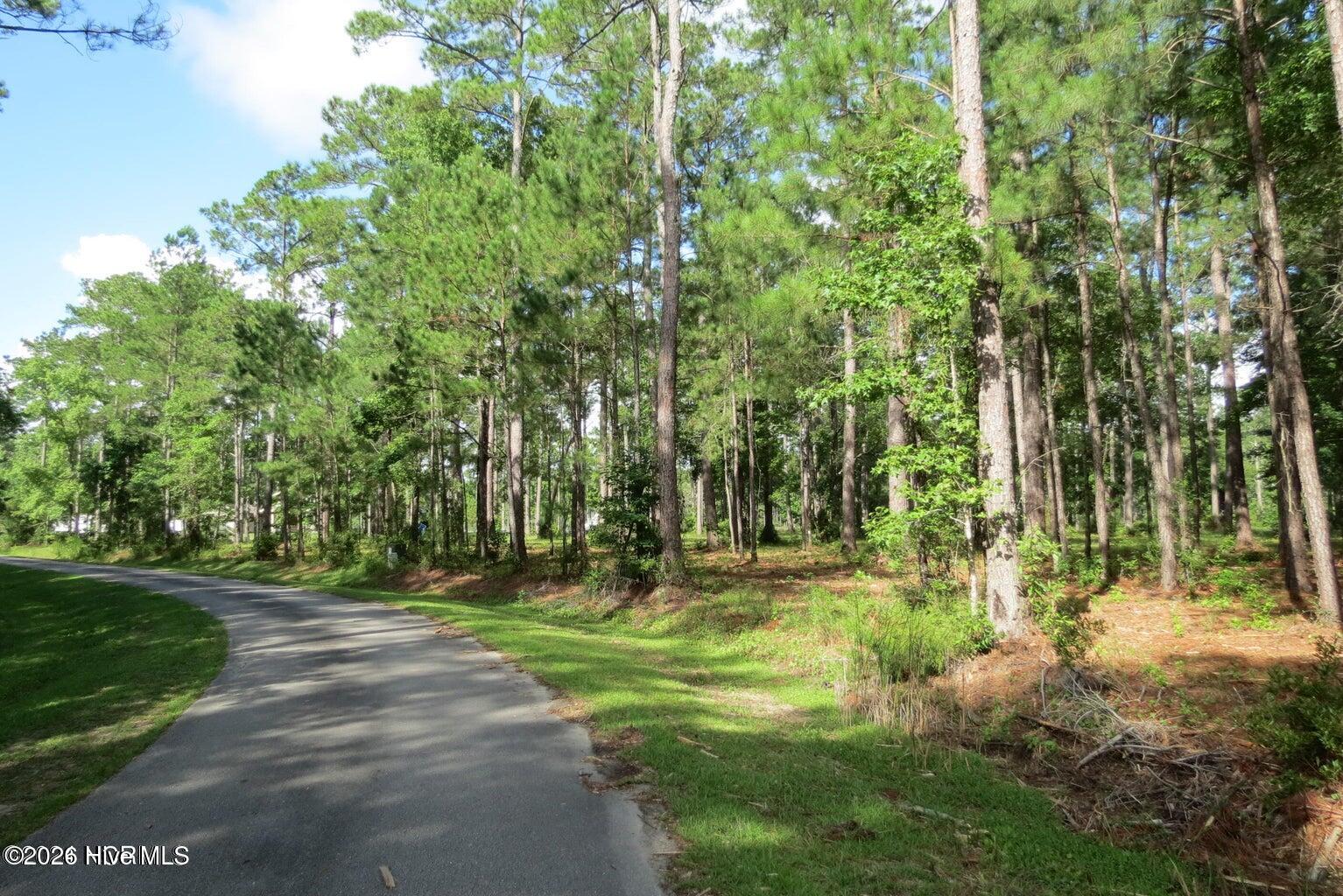 2570 Brown Creek Road Merritt, NC 28556 - Photo 2 of 6 20240712161219496703000000-o
