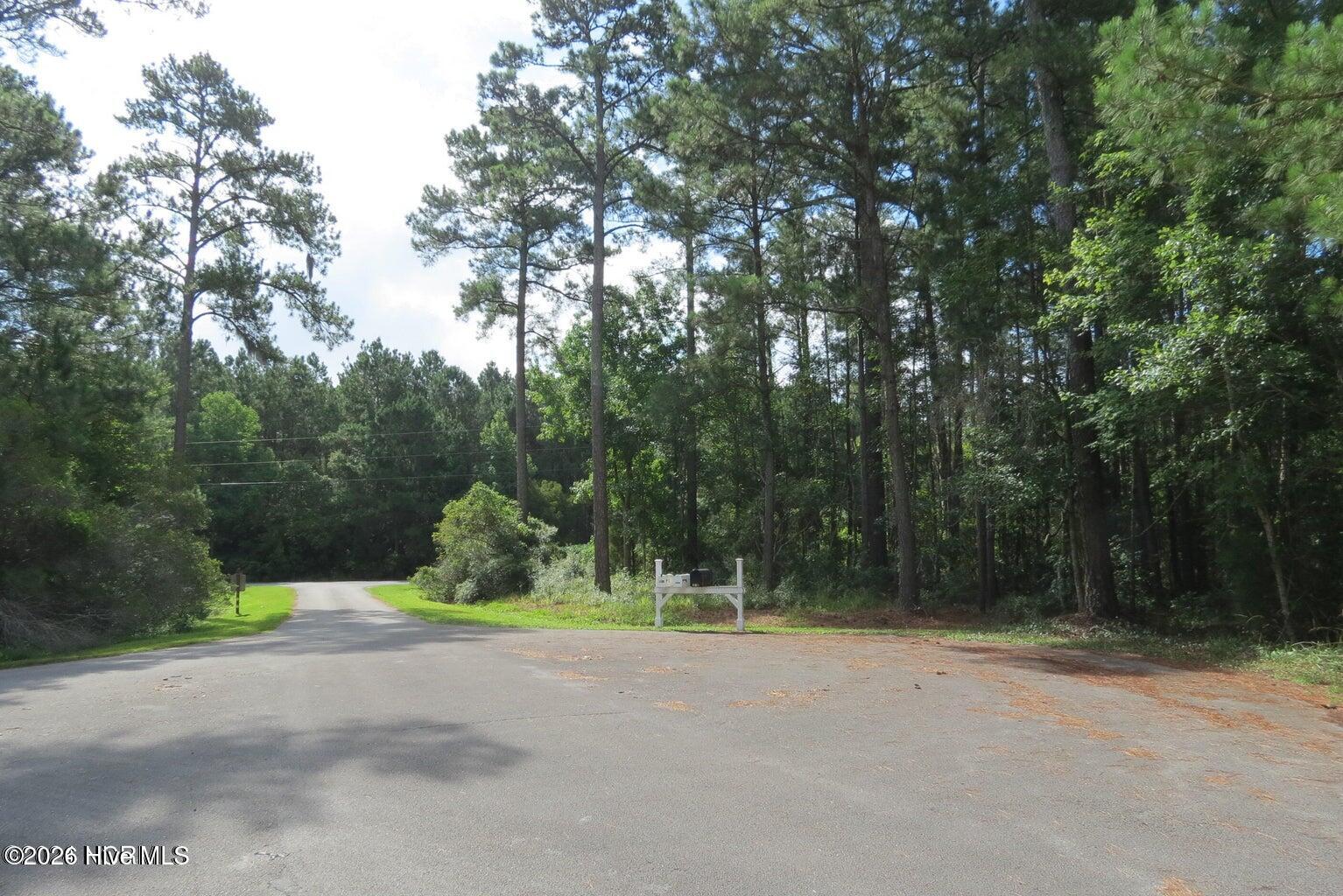 2570 Brown Creek Road Merritt, NC 28556 - Photo 4 of 6 20240712161155269722000000-o