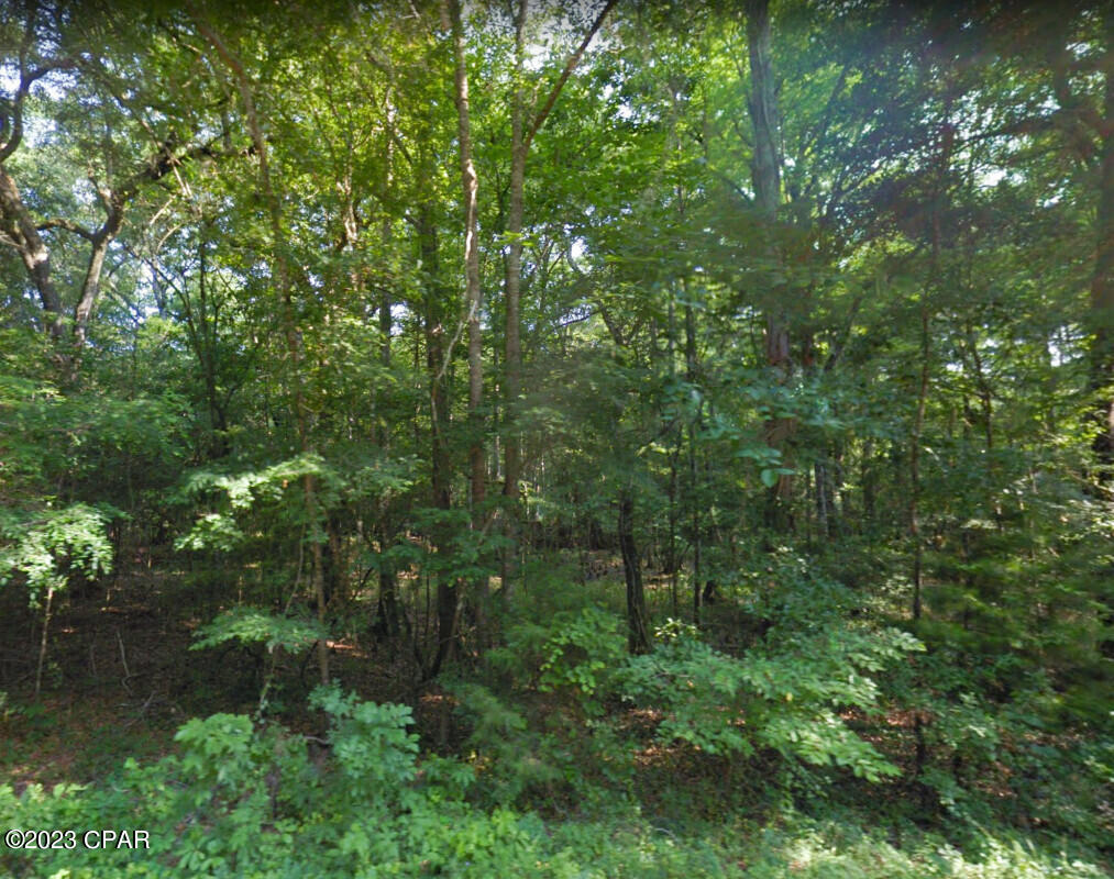 0 Oscar Road Greenwood, FL 32443 - Photo 4 of 10