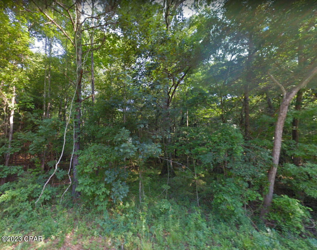 0 Oscar Road Greenwood, FL 32443 - Photo 5 of 10