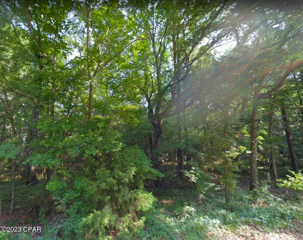 0 Oscar Road Greenwood, FL 32443 - Photo 6 of 10