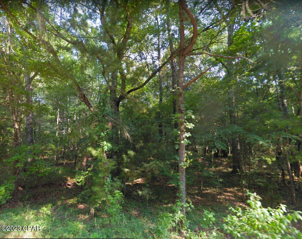 0 Oscar Road Greenwood, FL 32443 - Photo 7 of 10