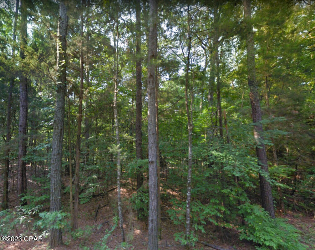 0 Oscar Road Greenwood, FL 32443 - Photo 8 of 10