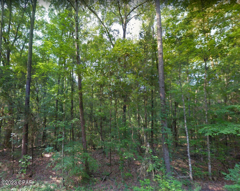 0 Oscar Road Greenwood, FL 32443 - Photo 9 of 10