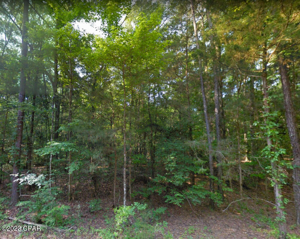 0 Oscar Road Greenwood, FL 32443 - Photo 10 of 10