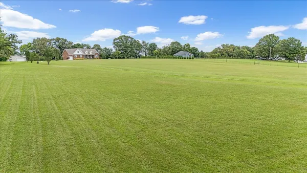 a view of a backyard with large trees