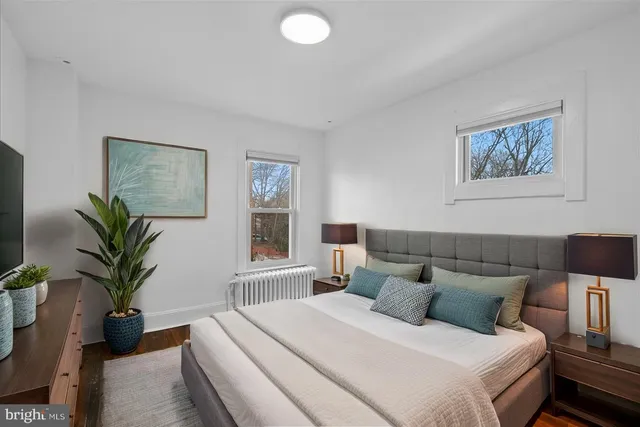 a bedroom with a large bed and a potted plant