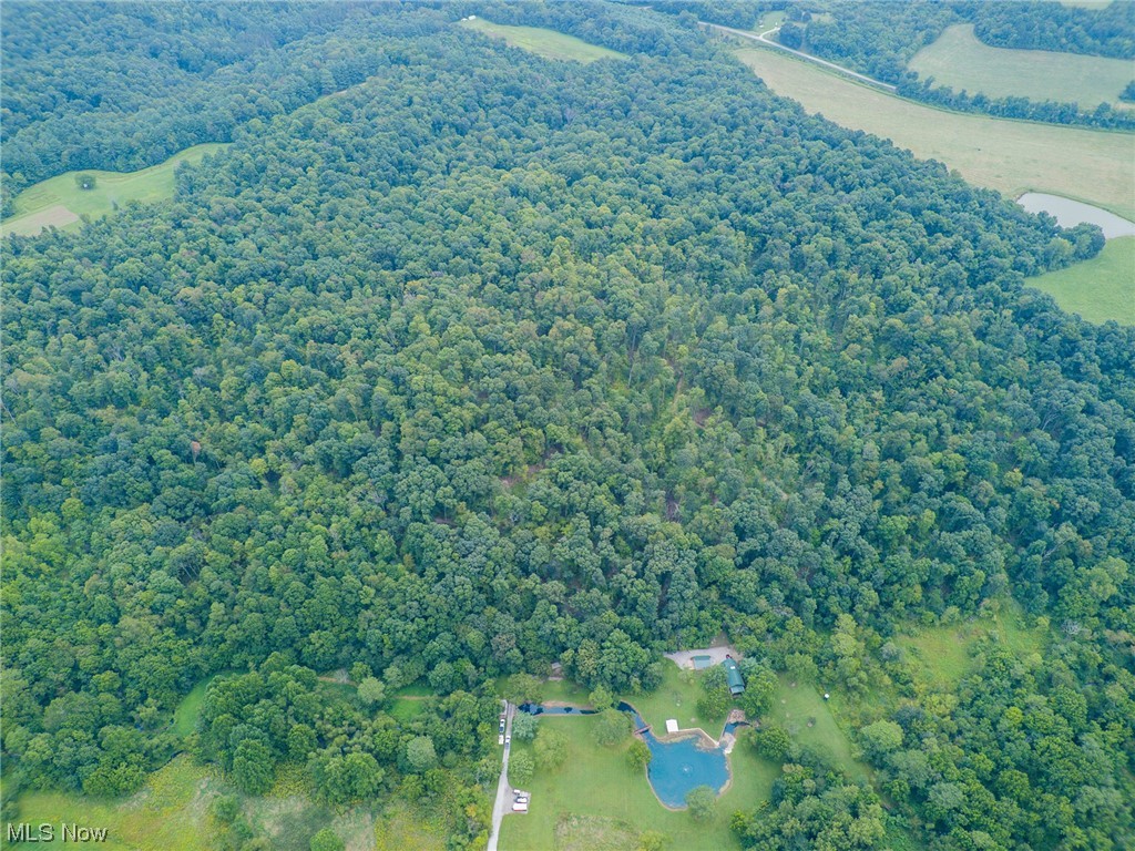 73110 Turkey Run Road Kimbolton, OH 43749 - Photo 14 of 29 View of bird's eye view