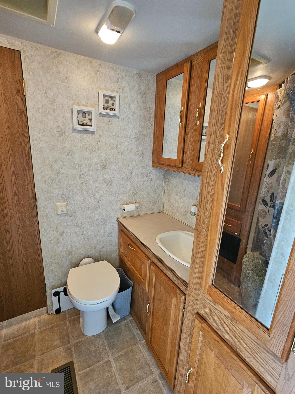 21 Campfire Boulevard Falling Waters, WV 25419 - Photo 19 of 30 a bathroom with a sink a toilet a mirror and a shower