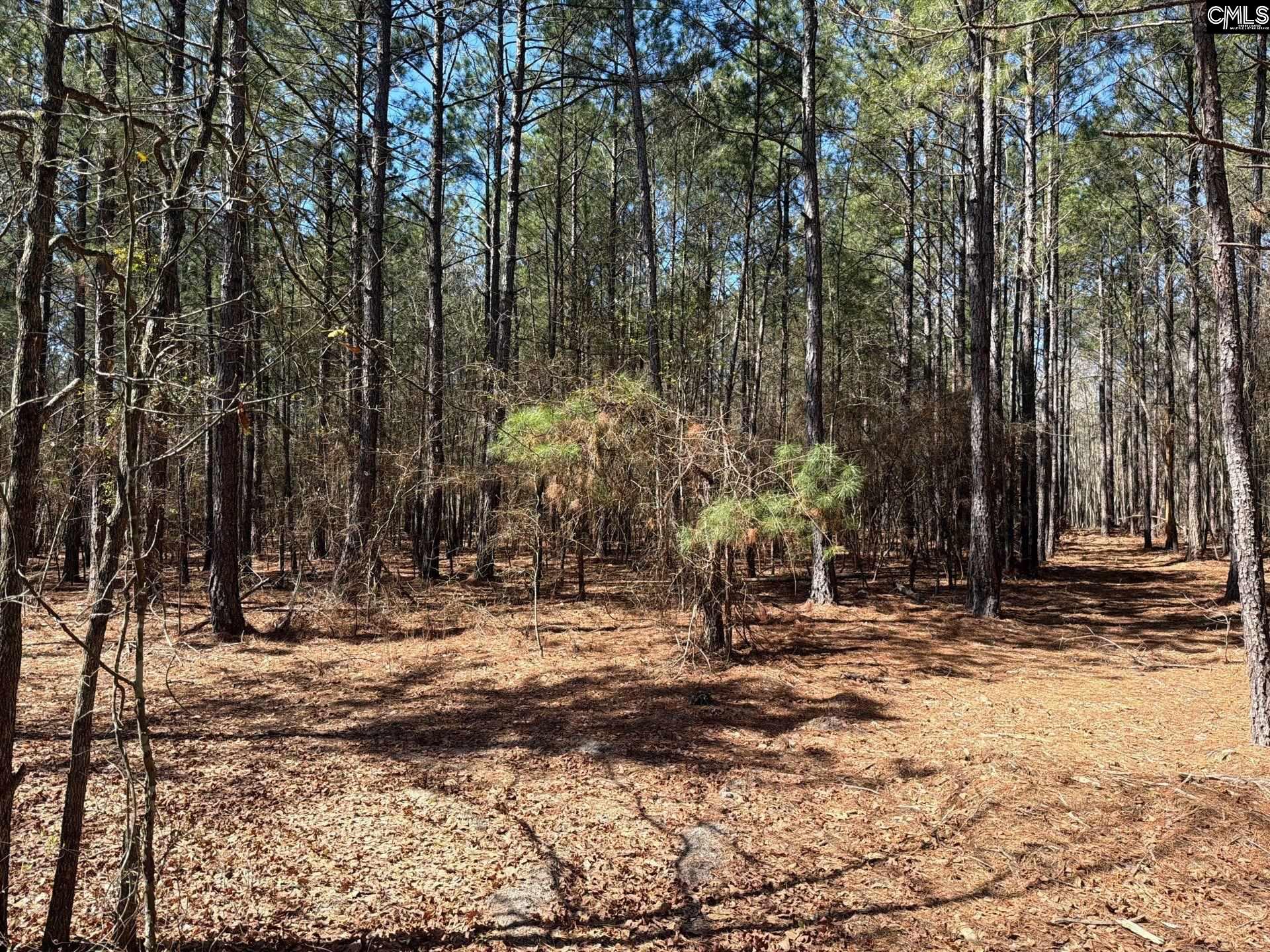 11 Boise Cascade Road, Unit BHL 11 Bethune, SC 29009 - Photo 13 of 24