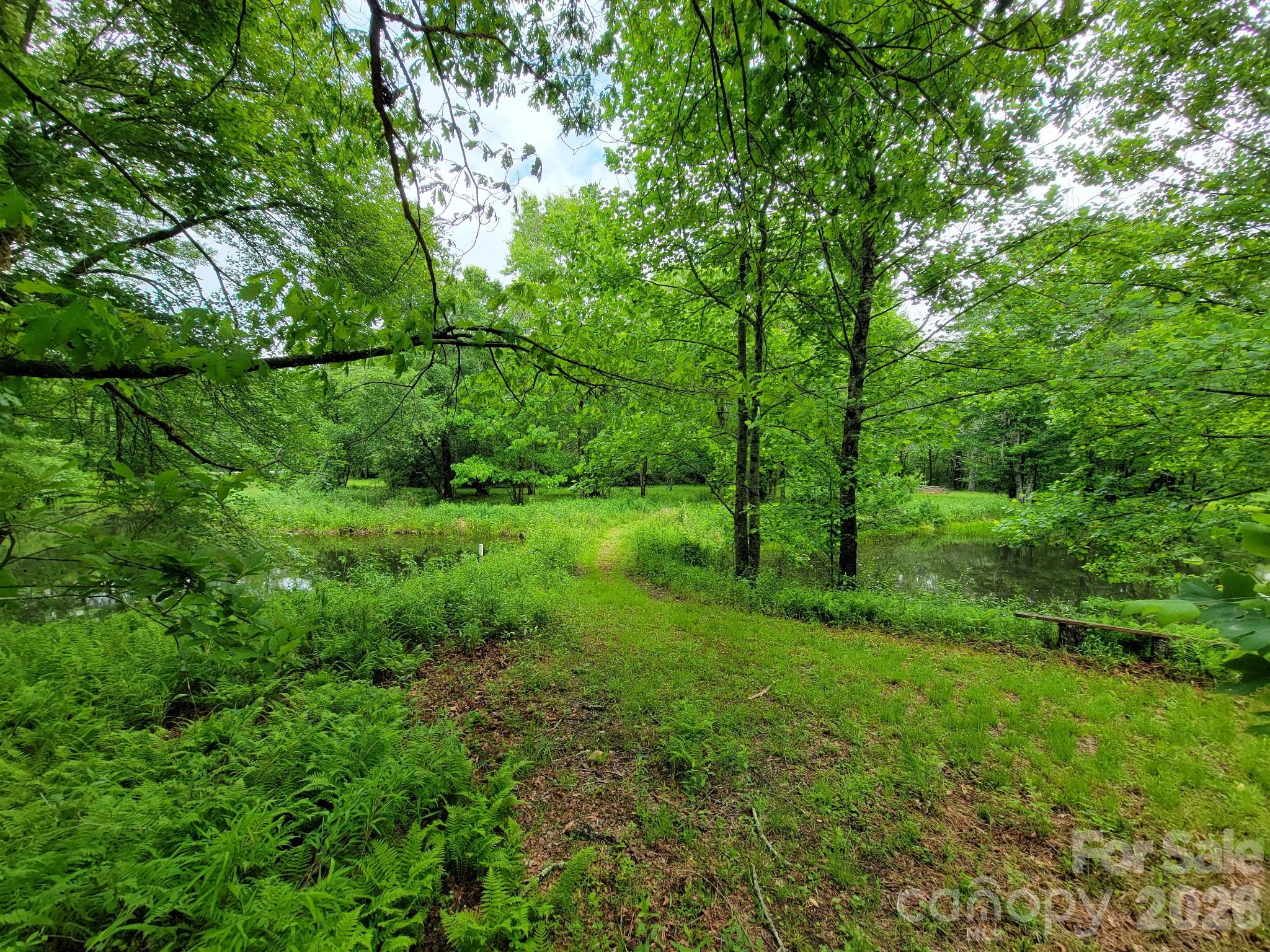 Tbd Sweetwater Rdg Road, Unit 1 Balsam Grove, NC 28708 - Photo 20 of 24 a view of a lush green space