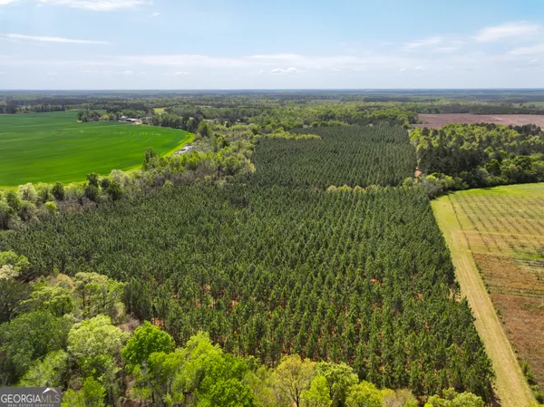 a view of a city with lush green forest